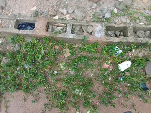 1000sqm Adeole Odeku Opp Zenith Bank Victoria Island