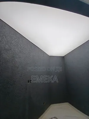 Ceiling Lights