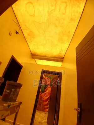 Ceiling Light