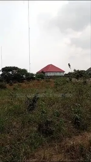 For Sale: 12 Fenced Plots at Umuahia