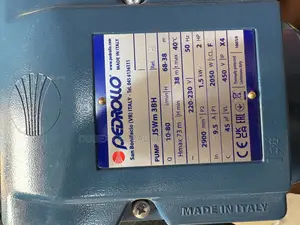 2hp Pedrollo Surface Pump