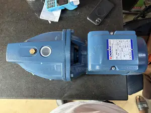 2hp Pedrollo Surface Pump