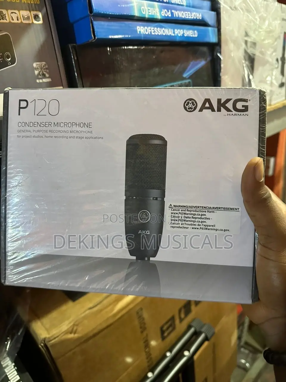 Akg P120 Cardioid Condenser Microphone