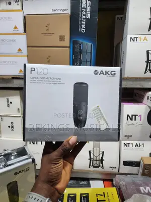 Akg P120 Cardioid Condenser Microphone