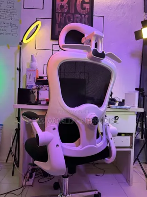 Beautiful Ergonomic Chair