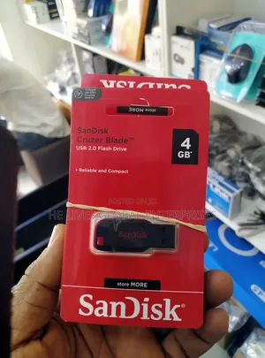 4gb Sandisk Flash Drive