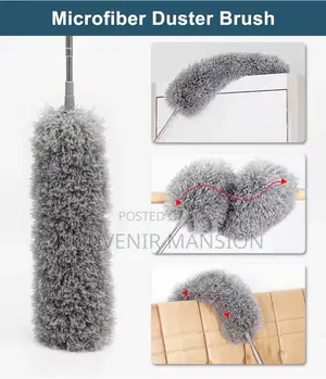 Extendable Cobweb Remover