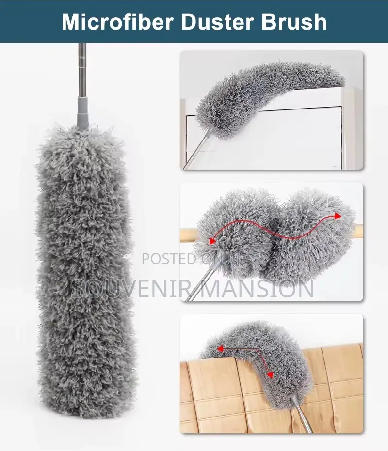 Extendable Cobweb Remover