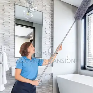 Extendable Cobweb Remover