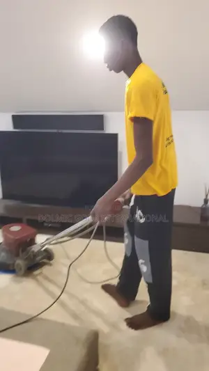 Professional Rug And Carpet Cleaning
