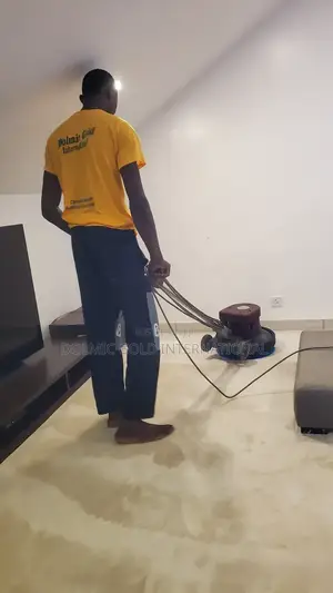Rug Dry Cleaning Services