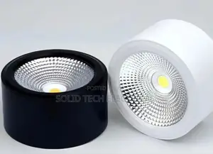 Surface Parapet Cob Light White and Warmwhite