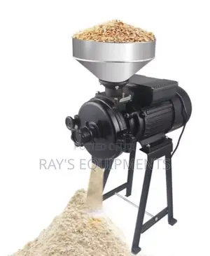 Wet and Dry Grinder