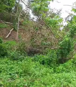 Photo - Acres Of Land For Sale