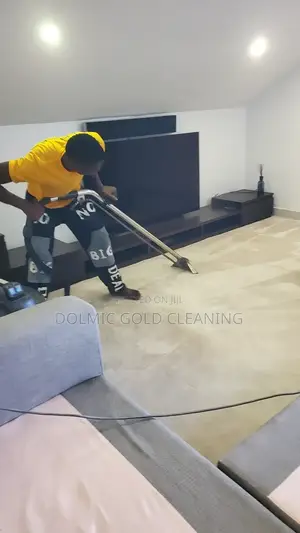 Mobile Rug Cleaning Services