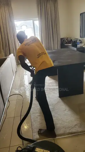 Deep Cleaning for Sofa and Rugs