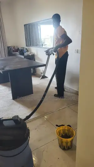 Standard Cleaning For Carpet And Sofa