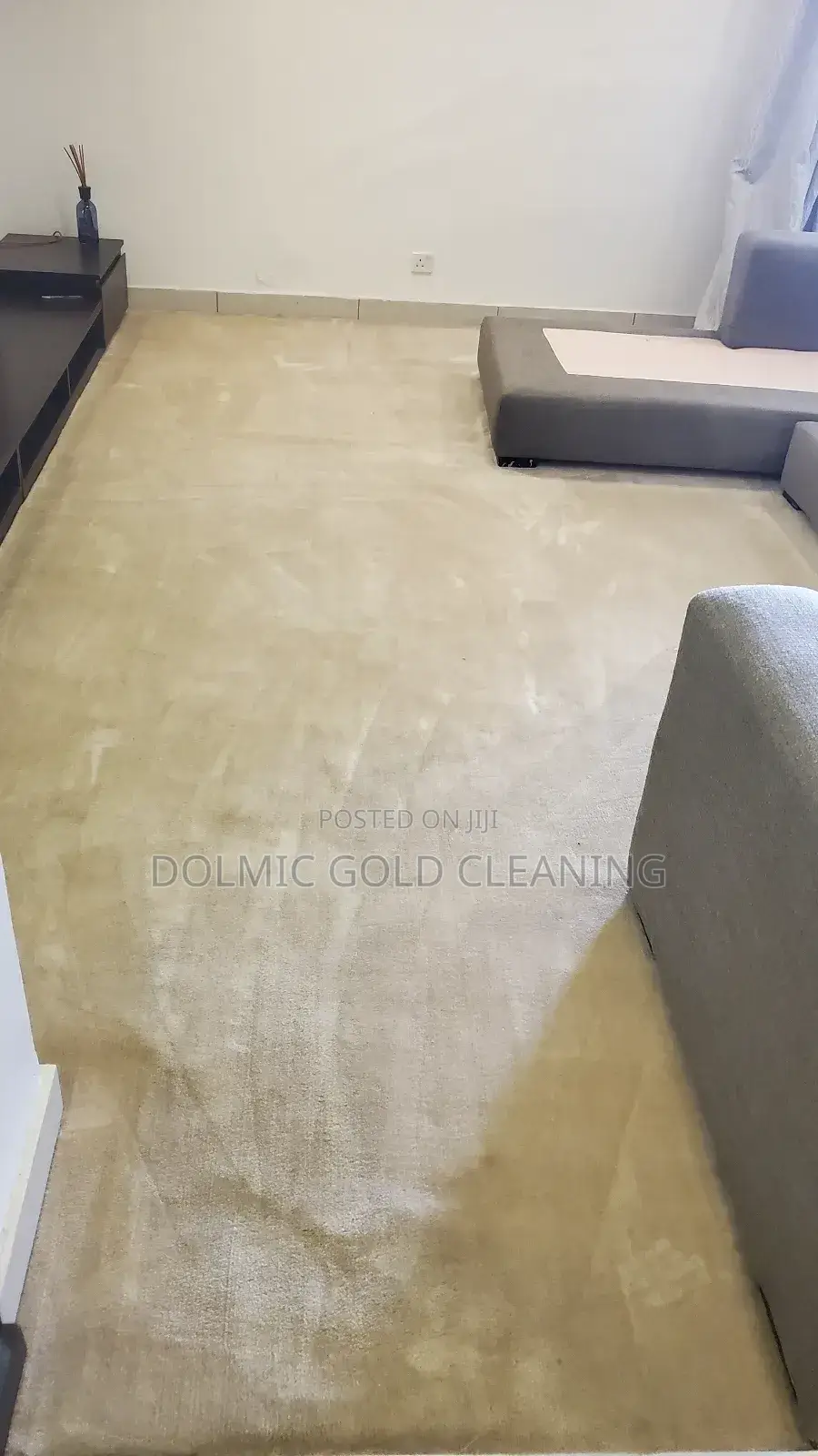 Standard Sofa and Rug Cleaning