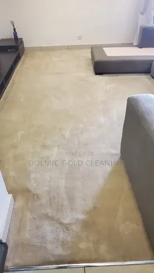 Standard Sofa and Rug Cleaning