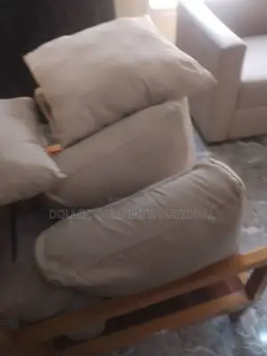 Sofa Dry Cleaning Services