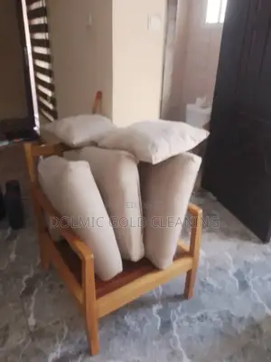 Chair Dry Cleaning