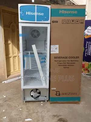 Hisense Energy-Efficient Chiller 222l