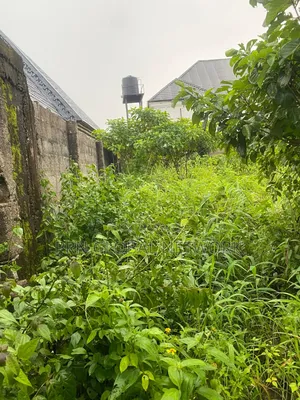 2 Plots Of Land Fenced And Gated For Sale In Owerri