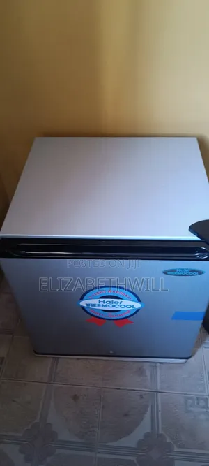 Mini Bedside Thermocool Fridge