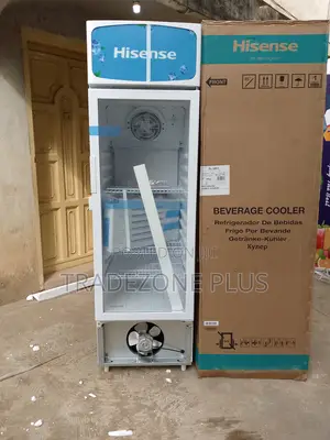 Hisense Adjustable-Shelf Chiller 222l