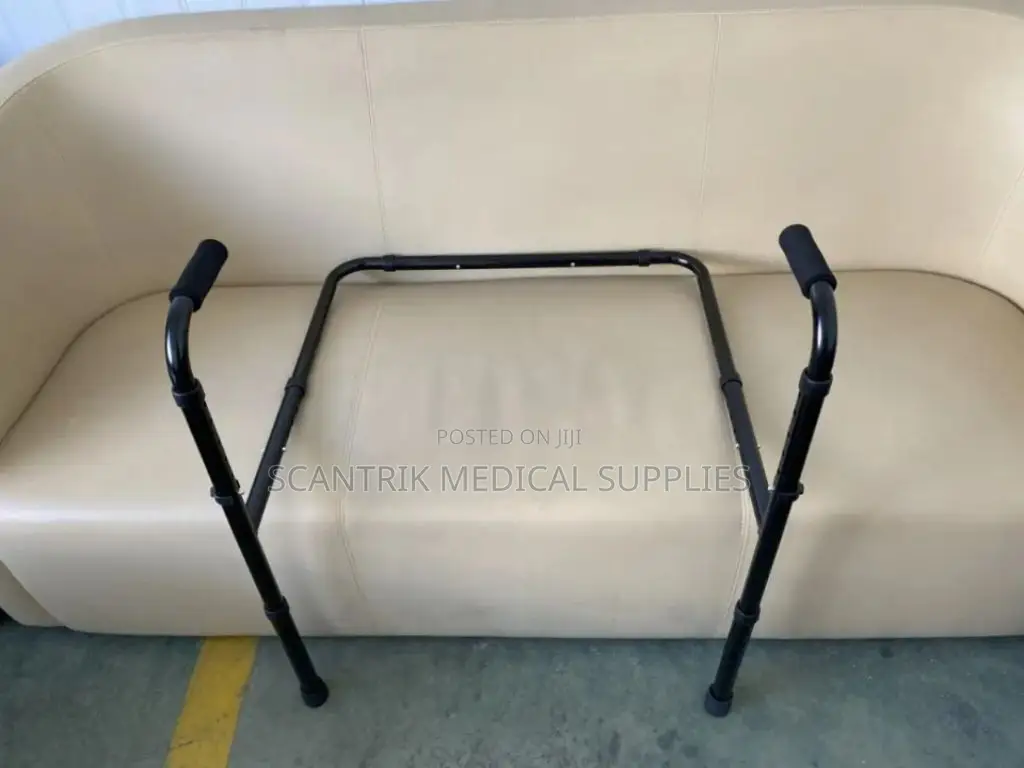 Sit Assist Mobility Rail