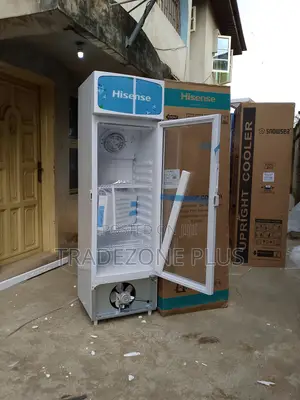 Hisense Fl30fc Commercial Chiller 222l