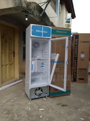 Hisense Storefront Display Chiller 222l