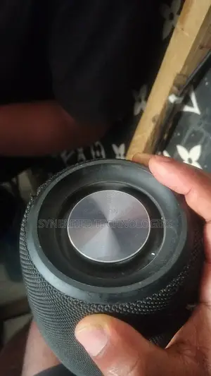 Zealot Speaker Repair
