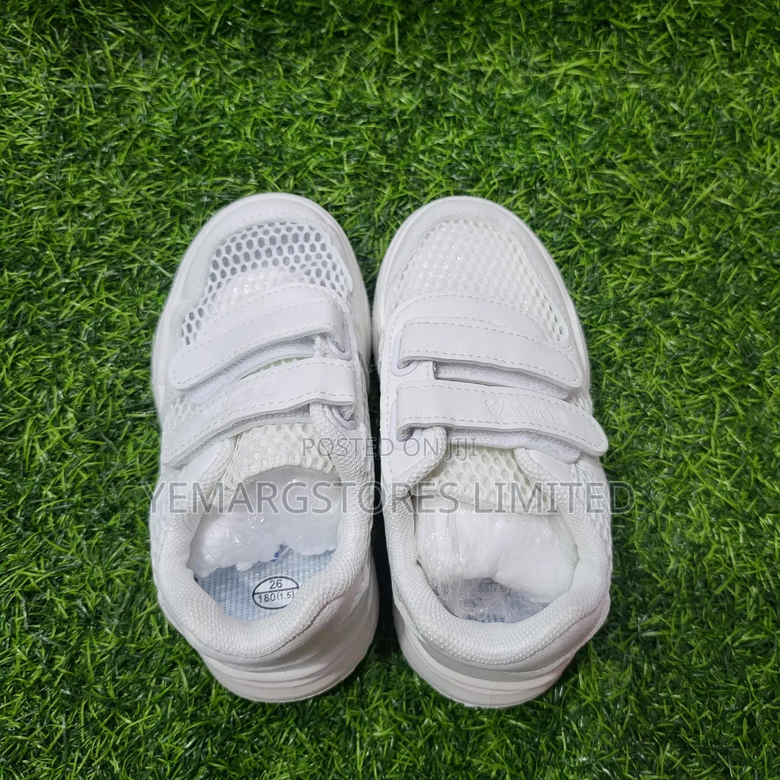 White Canvas