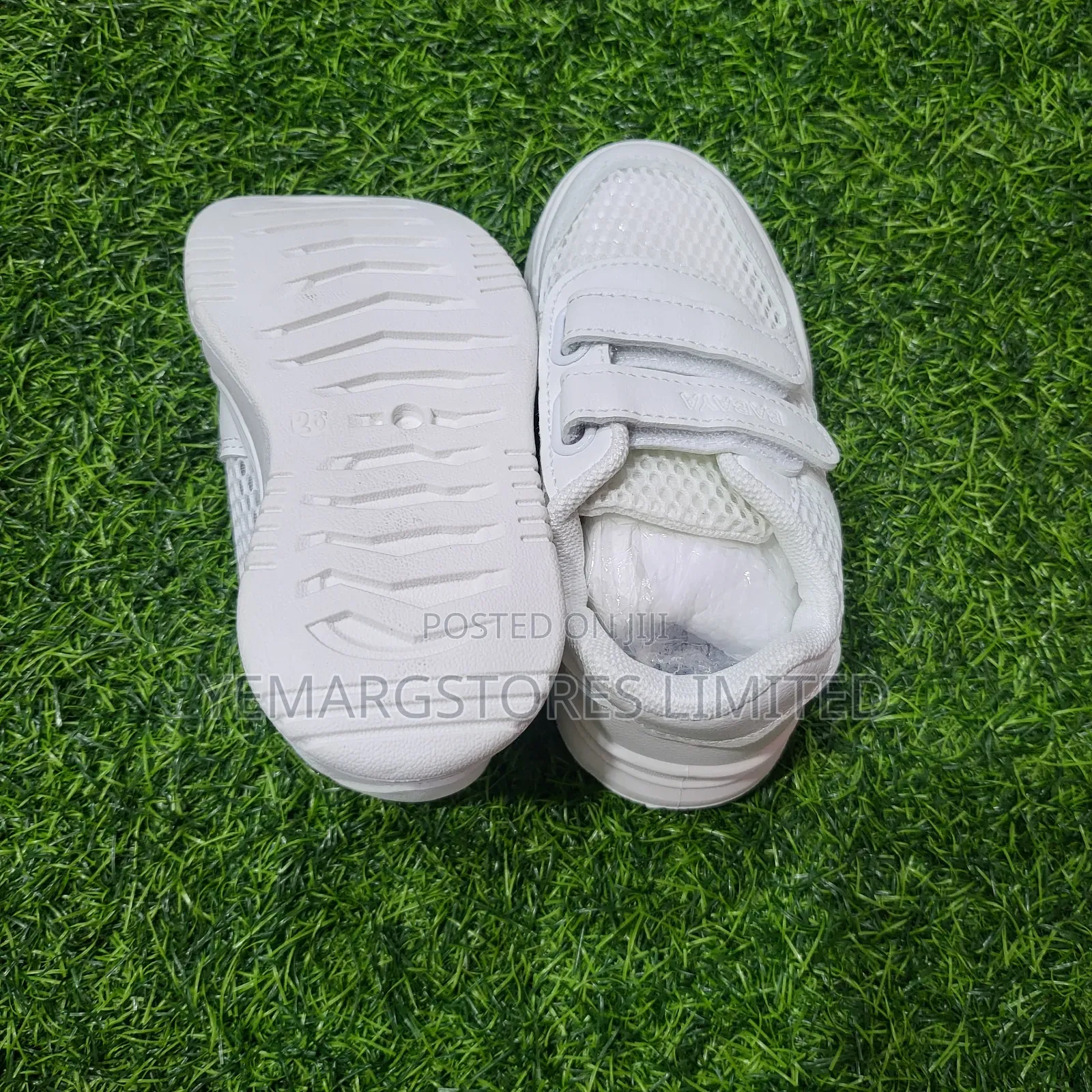 White Canvas