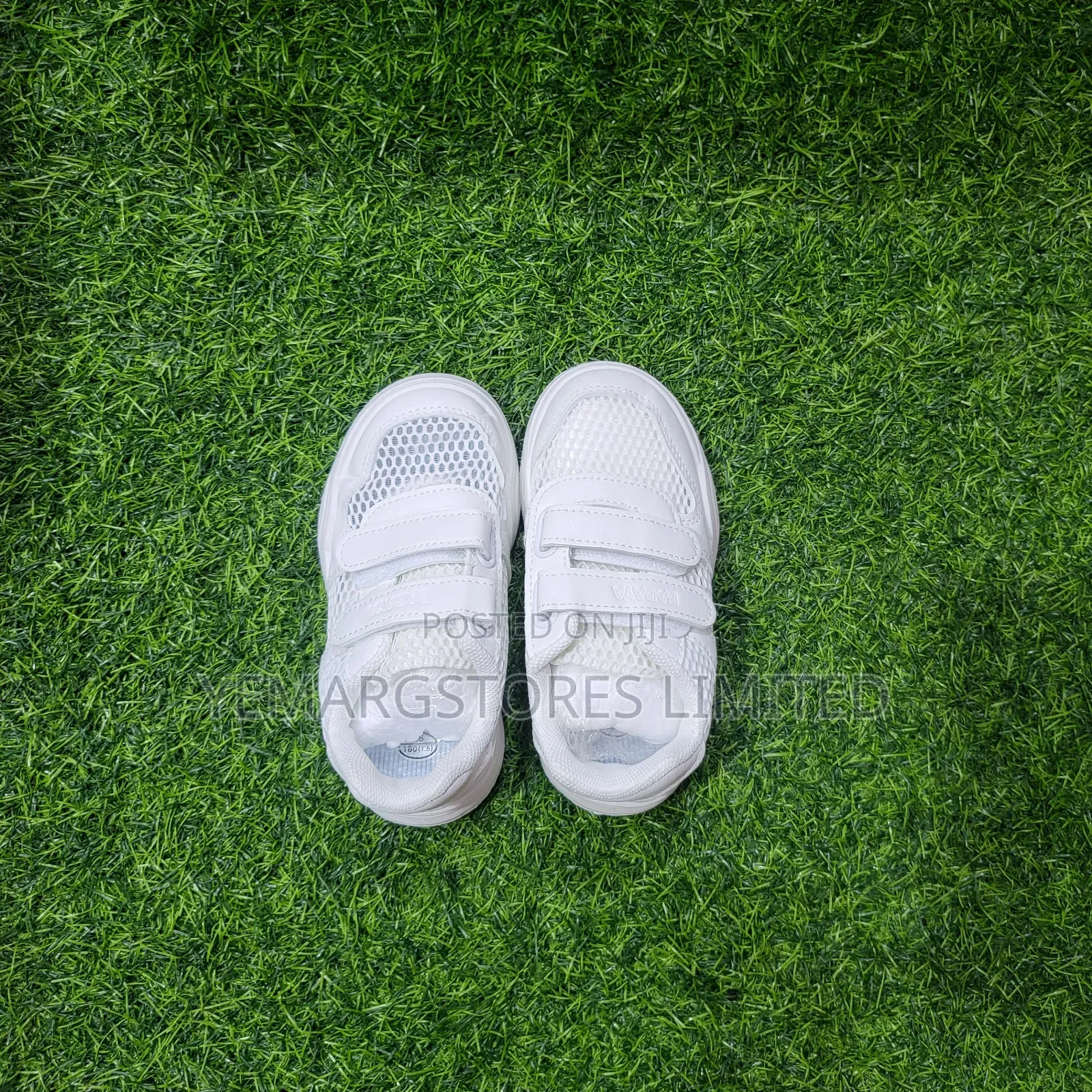 White Canvas