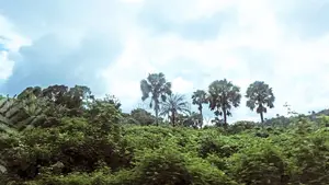 10 Plots of Land