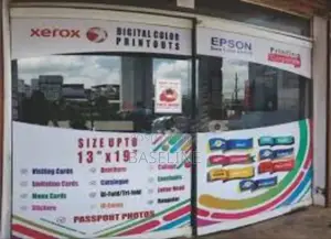 Window Graphics