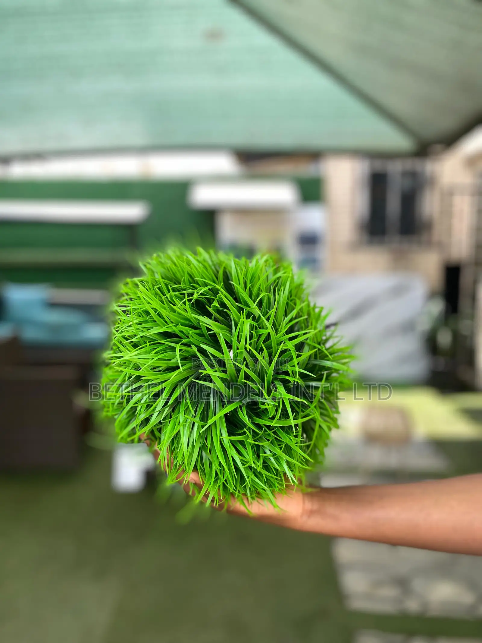 Decorative Artificial Boxwood Ball – Big & Small Sizes