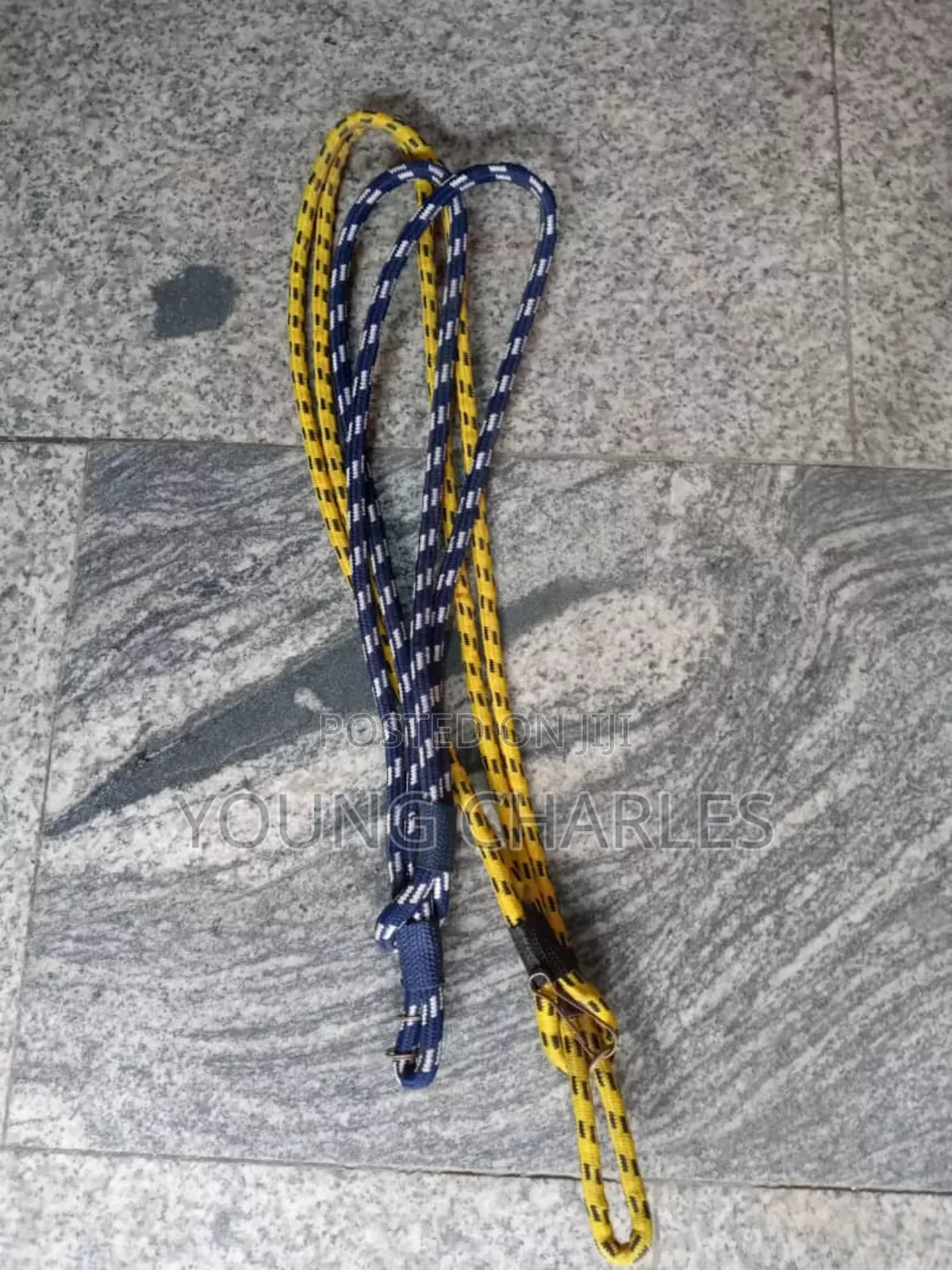 Security Lanyard
