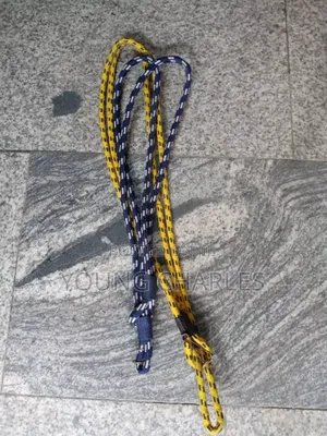 Security Lanyard