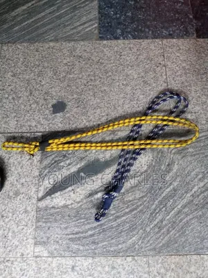 Security Lanyard