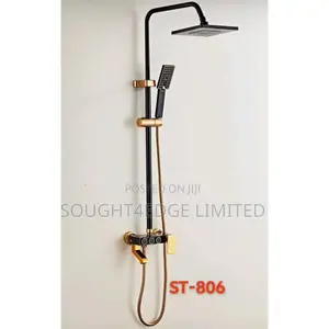 Black and Gold Shower Mixer