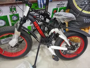 Non Foldable Big Tyre Bike
