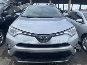 Toyota RAV4 LE AWD (2.5L 4cyl 6A) 2017 Silver