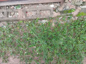 40 Acers Of Water Front Land Ikorodu Lagos