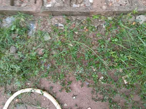 15 Acers Of Water Fronts Ogolonto Ikorodu Lagos