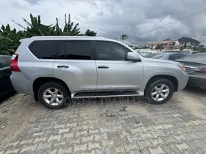 Lexus GX 460 Premium 2012 Silver