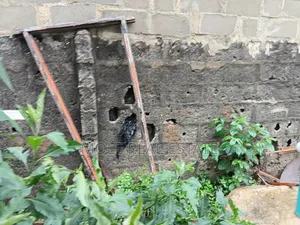 1 Acer of Land Waterfront Ebute Ikorodu Lagos