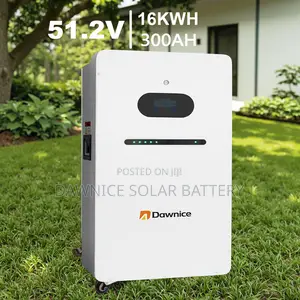 Dawnice 5kwh Wall Mounted Lifepo4 Batteries 51.2v 100ah